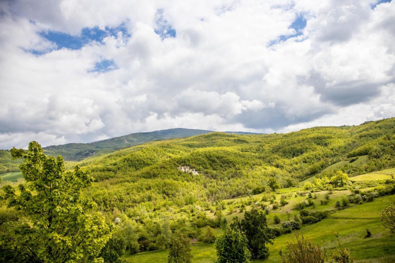Nido D'Amore Nei Colori Dernice エクステリア 写真