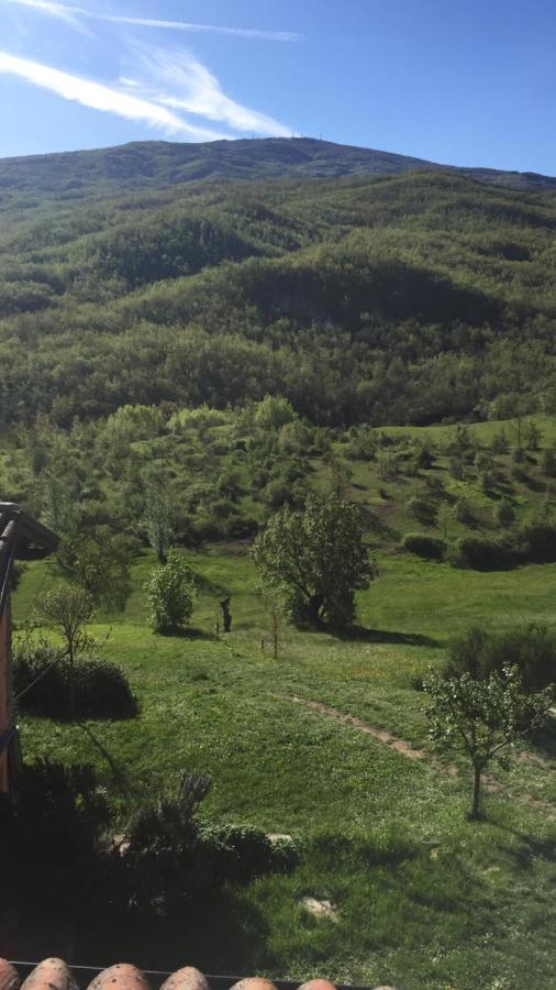 Nido D'Amore Nei Colori Dernice エクステリア 写真