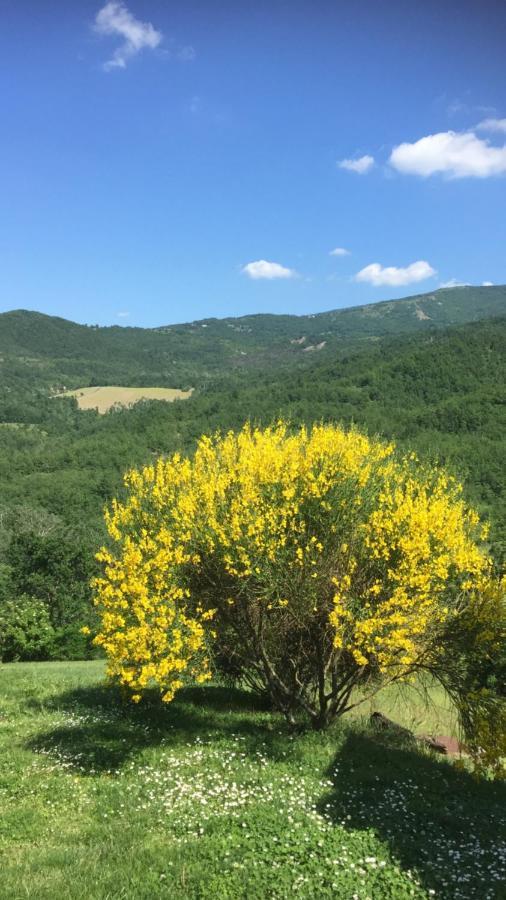 Nido D'Amore Nei Colori Dernice エクステリア 写真